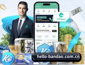 hello-bandao.com.cn APP 深度功能